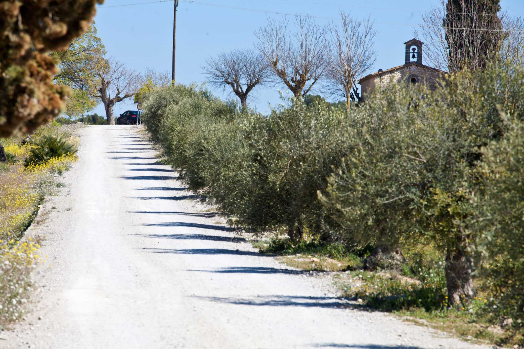 enoturisme la vinya finca viladellops penedes