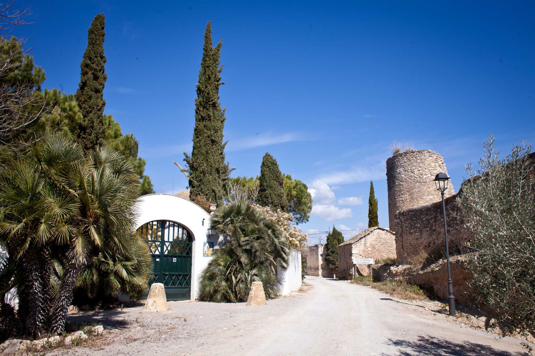 enoturisme la vinya finca viladellops penedes