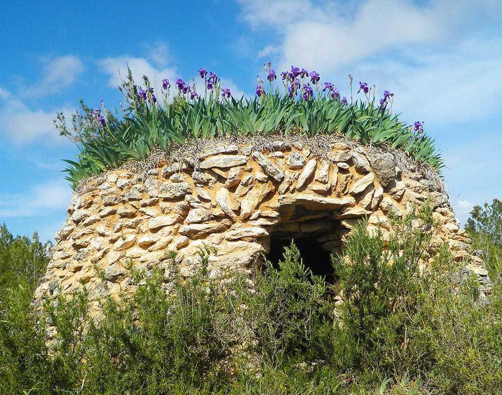 Les barraques de pedra seca de Viladellops Las barracas de piedra seca en Viladellops