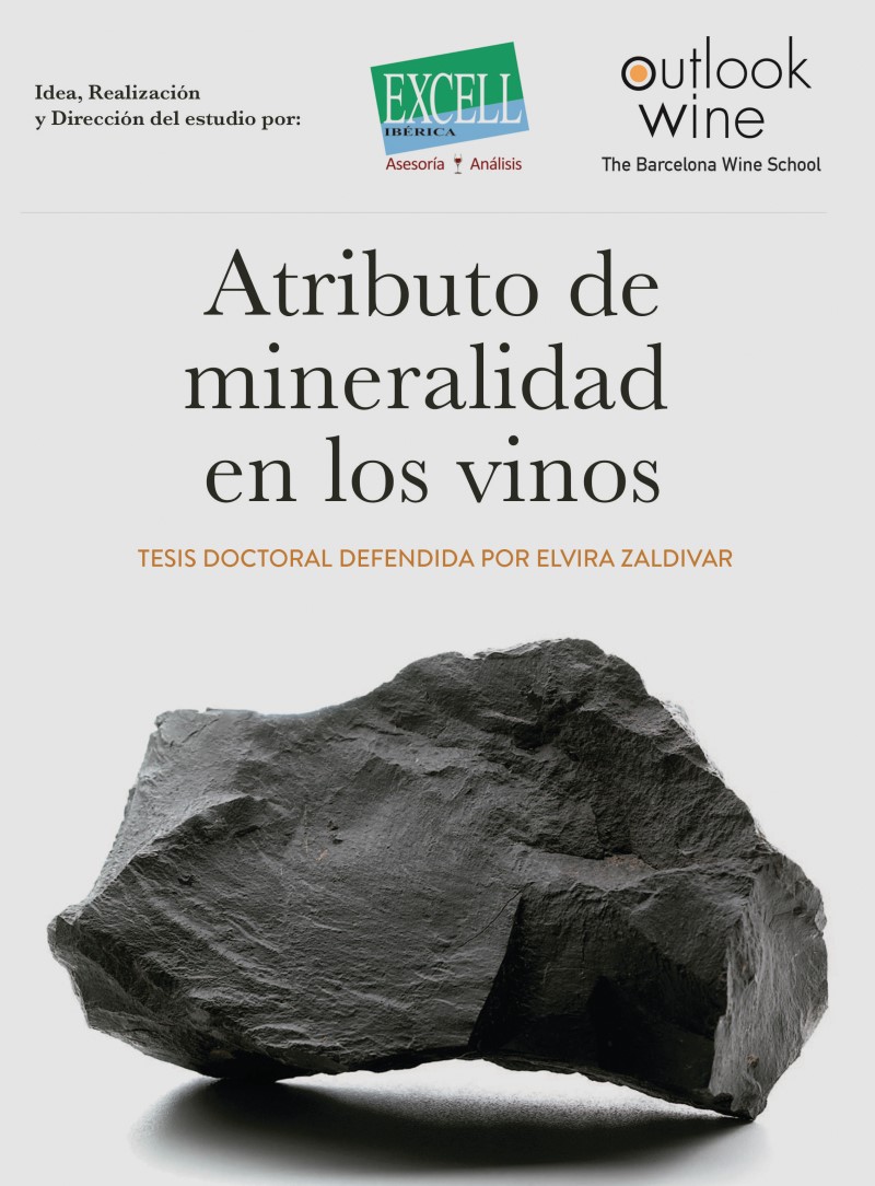 mineralidad en el vino mineralidad en el vino