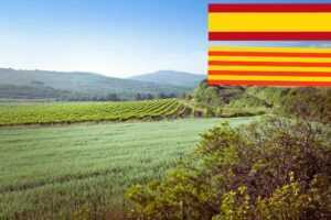 Historia, cultura i vino (castellano/catalán)