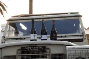 visita en jeep entre vinyes