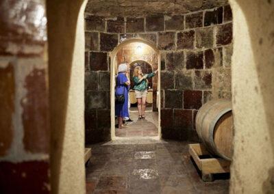 The celler of Finca Viladellops Wine Village