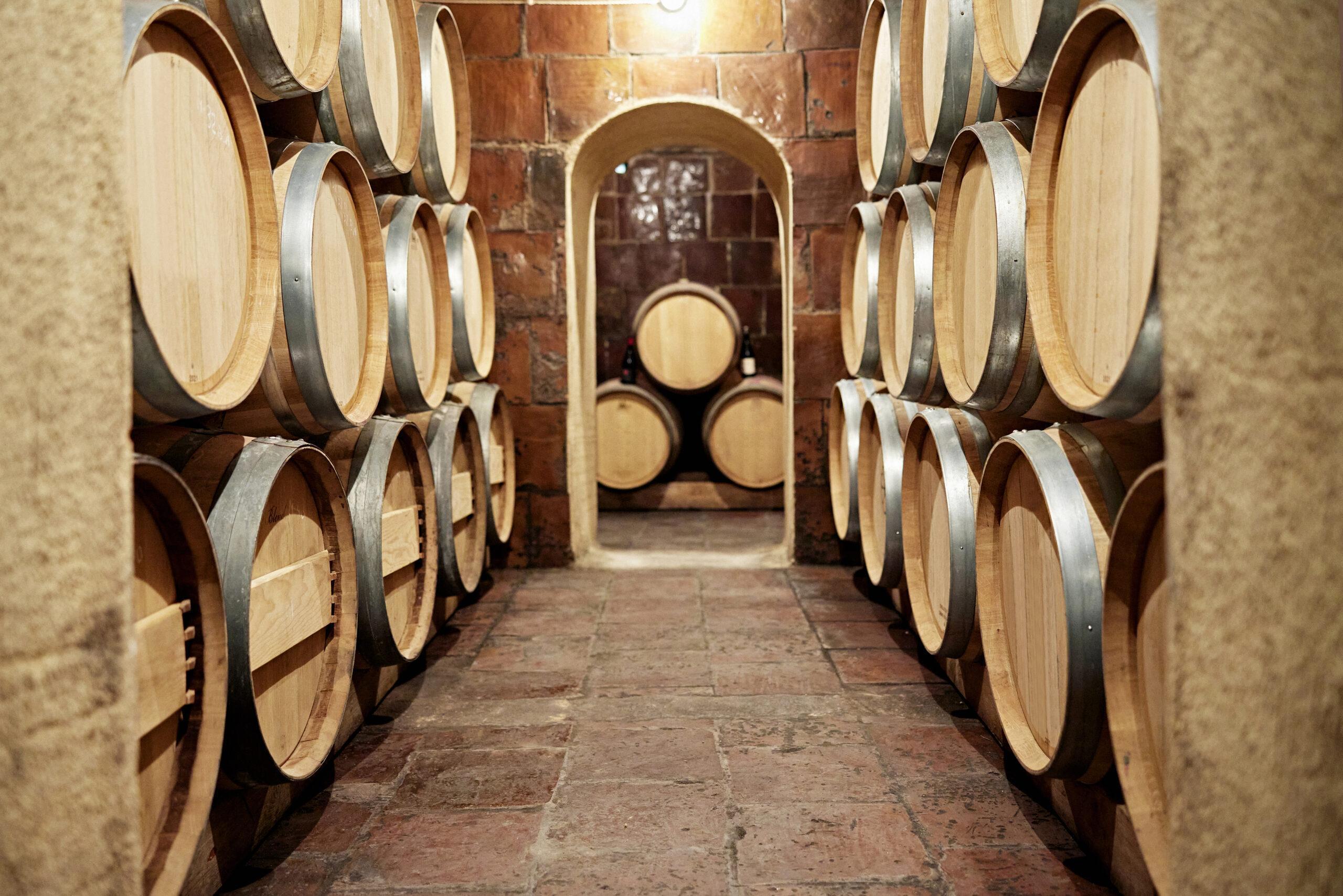 Underground cellar occupied by the type of barrel most commonly used during the wine aging process, which adds oxygen, tannins and depth of flavour.