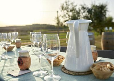 Wine tasting in Finca Viladellops near Barcelona and Sitges