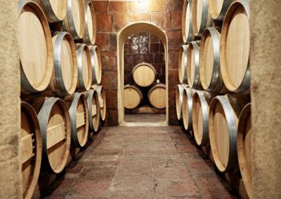 The celler of Finca Viladellops Wine Village