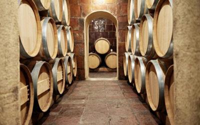 La vinya: essència viva de Viladellops