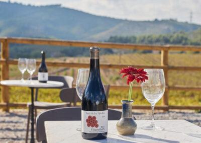 The Wine Tasting of Finca Viladellops Wine Village