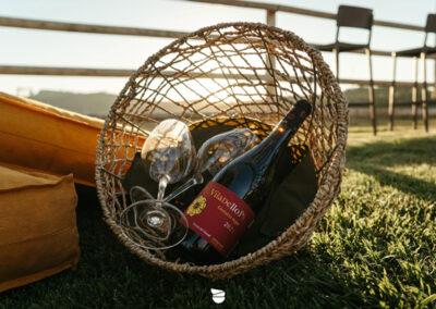 The Wine Tasting of Finca Viladellops Wine Village