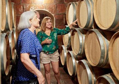 The celler of Finca Viladellops Wine Village
