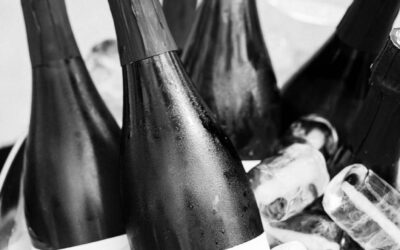 Private Events in Barcelona at Finca Viladellops: Exclusive Moments Surrounded by History, Wine, and Nature