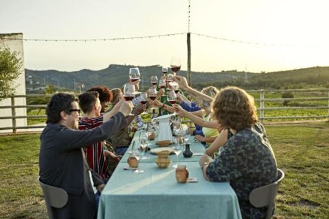 finca-viladellops-shop-open-wine-tasting