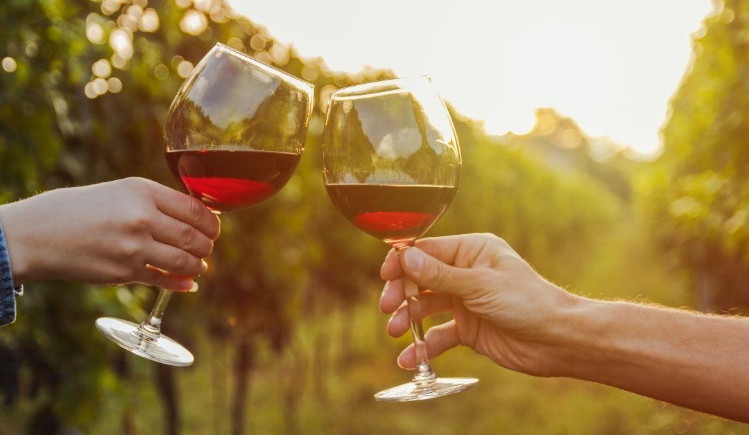 Wine tourism and wine tasting near Barcelona